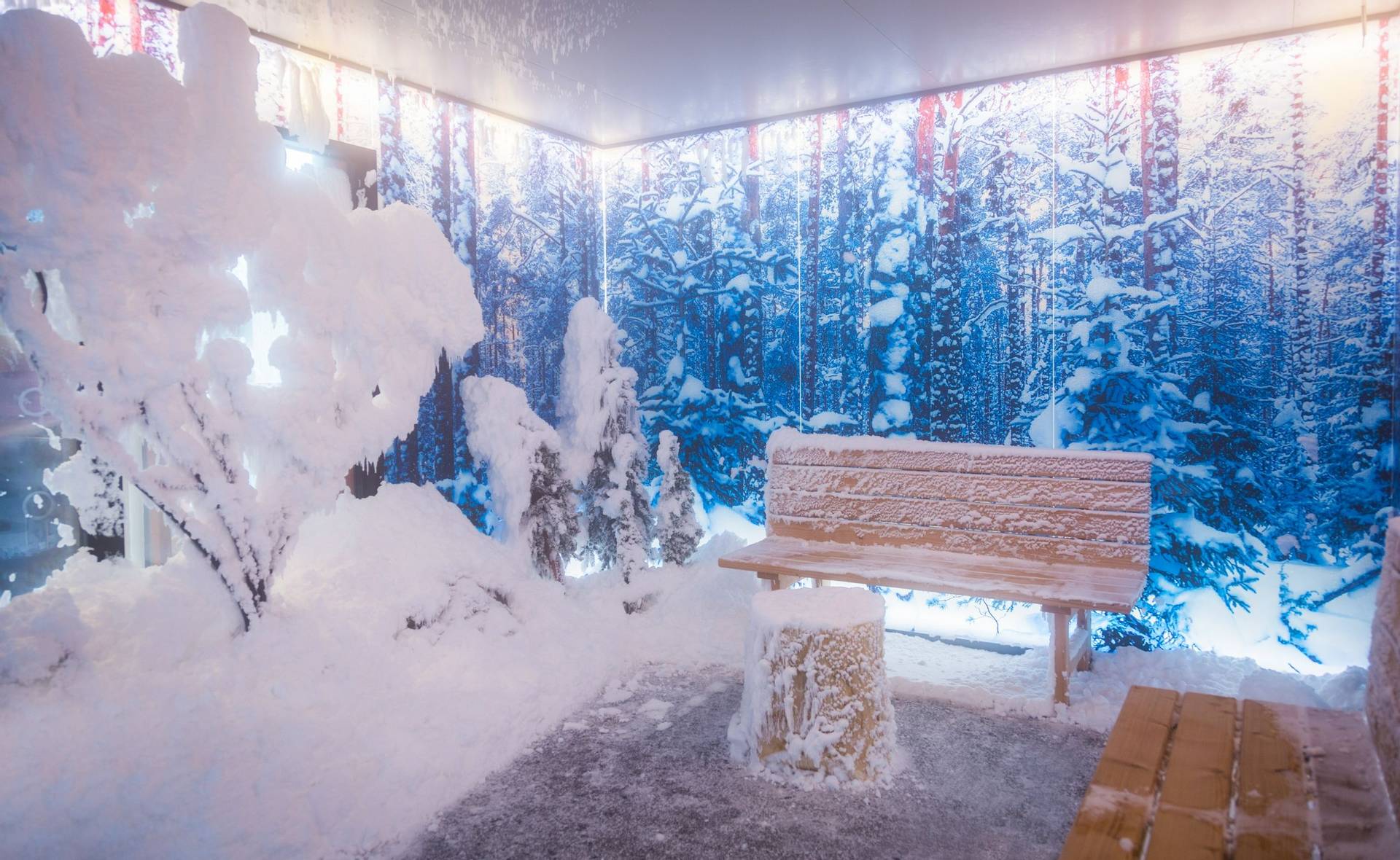 New Spa Amenities at The Lodge at Woodloch_Snowroom Bench-Tree-Stool